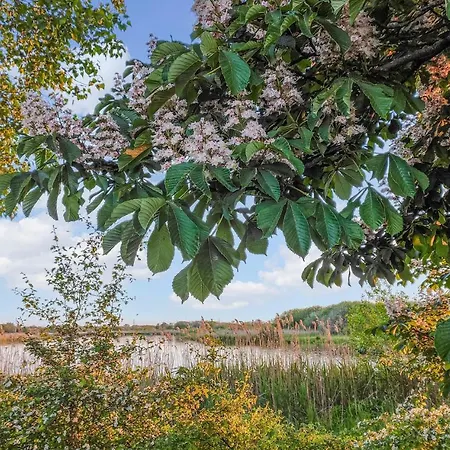 2 Bedroom Lovely In Dom wakacyjny