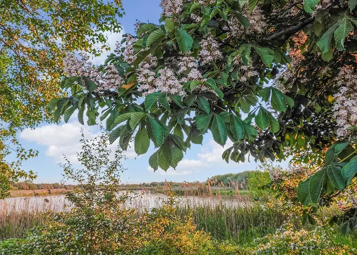 2 Bedroom Lovely In Semesterbostad